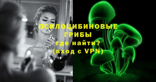 дурь Верея