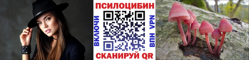 Псилоцибиновые грибы Psilocybe  маркетплейс клад  Рузаевка  купить наркотики сайты 